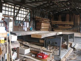 IMG_2065_320.jpg
