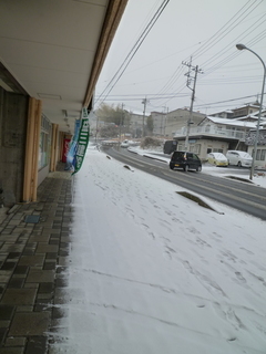 P1030802-thumbnail2.jpg